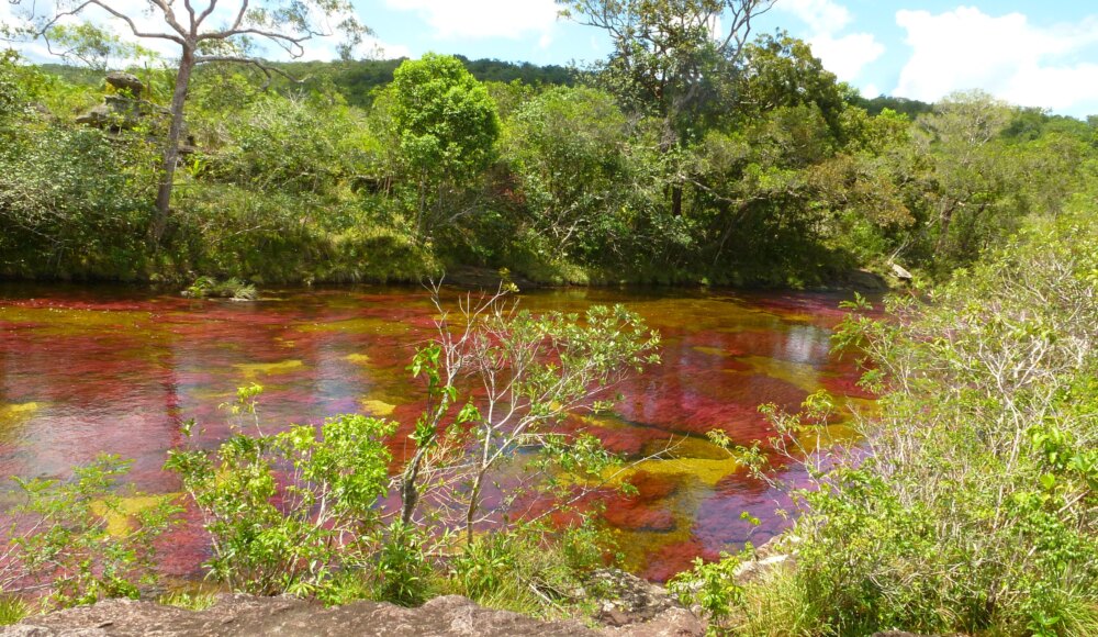Caño Cristales: el Río de Colores