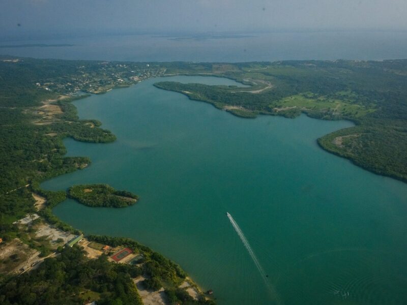 Caribe